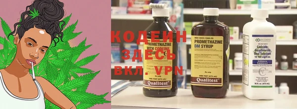 прущие грибы Покачи